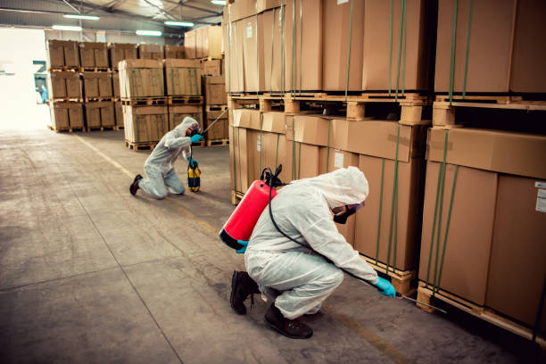 Best Wildlife Control Services  in Mulgee, OK