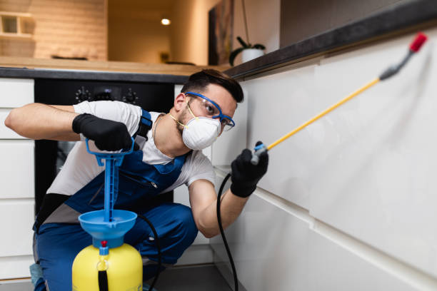 Best Bed Bug Extermination  in Mulgee, OK