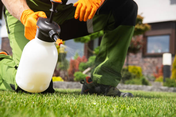 Best Mosquito Control Services  in Mulgee, OK