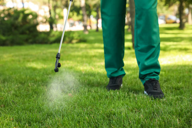 Best Local Pest Control Services  in Mulgee, OK