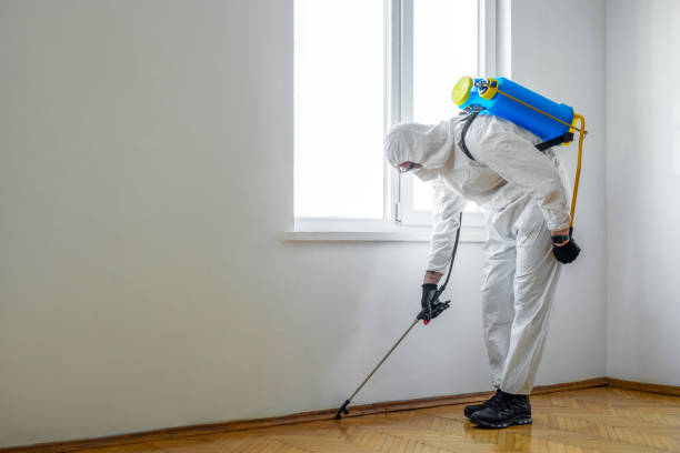 Best Flea Control Services  in Mulgee, OK