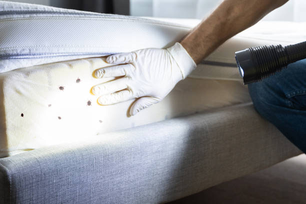 Best Emergency Pest Control  in Mulgee, OK