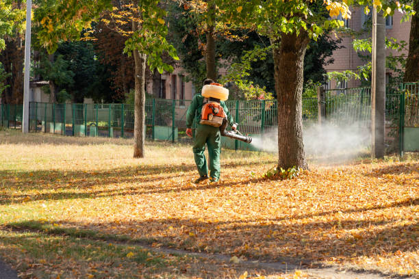 Best Rat Extermination Near Me  in Mulgee, OK