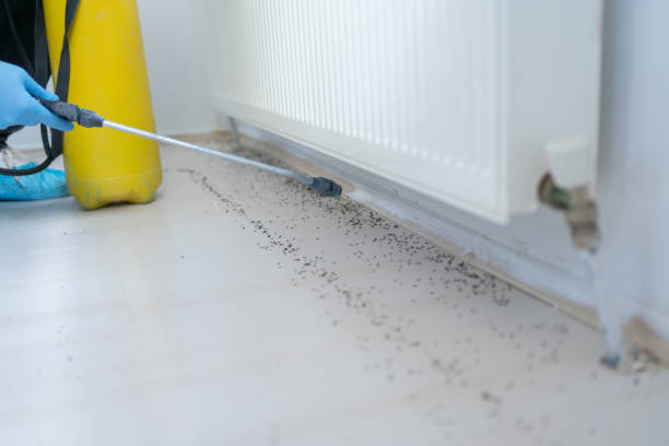 Best Affordable Pest Control Services  in Mulgee, OK