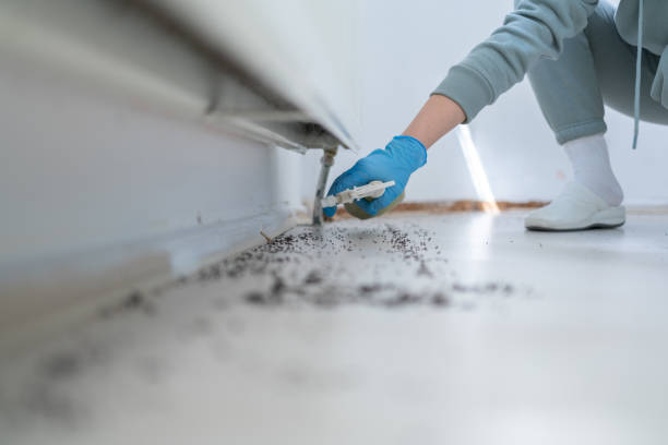 Best Pest Prevention Services  in Mulgee, OK