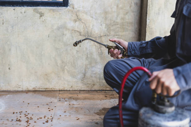Best Pest Removal Services  in Mulgee, OK